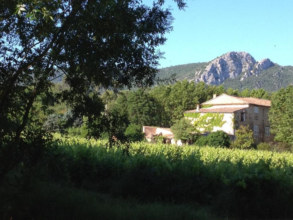 B&B Domaine Le Clos Du Pavillon Brignoles Exterior photo